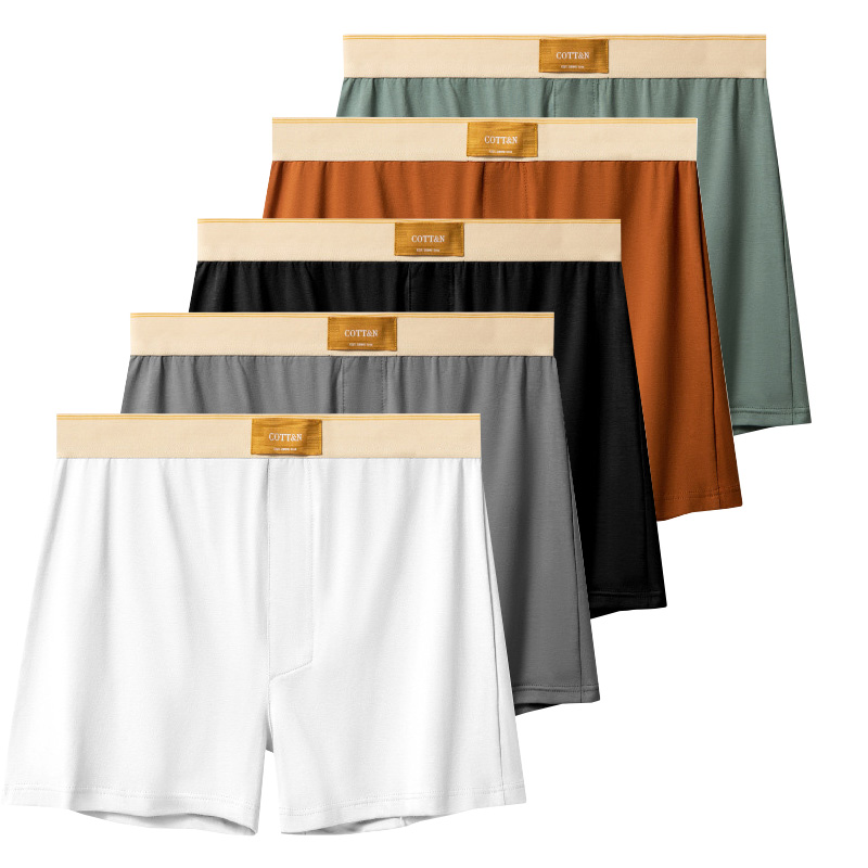 Boyshort Underwear - 4 قطعة السهم الذكور السراويل الرجال