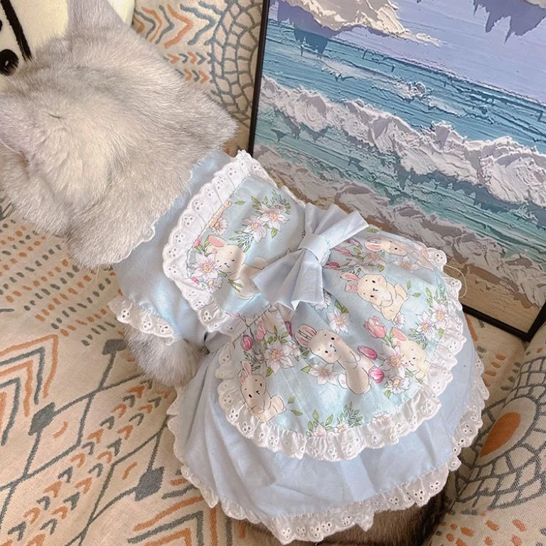 Lace Teddy Lingerie - الحيوانات الأليفة لطيف المئزر فستان الدانتيل